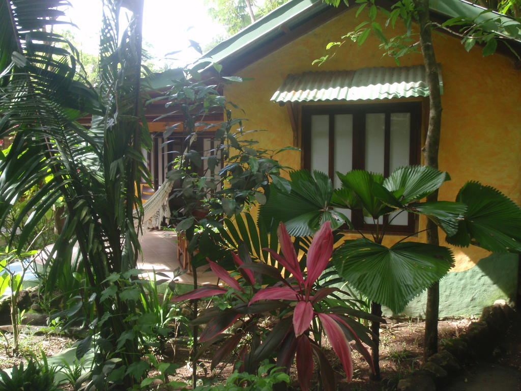 Pachamama Tropical Garden Lodge Malpaís Værelse billede