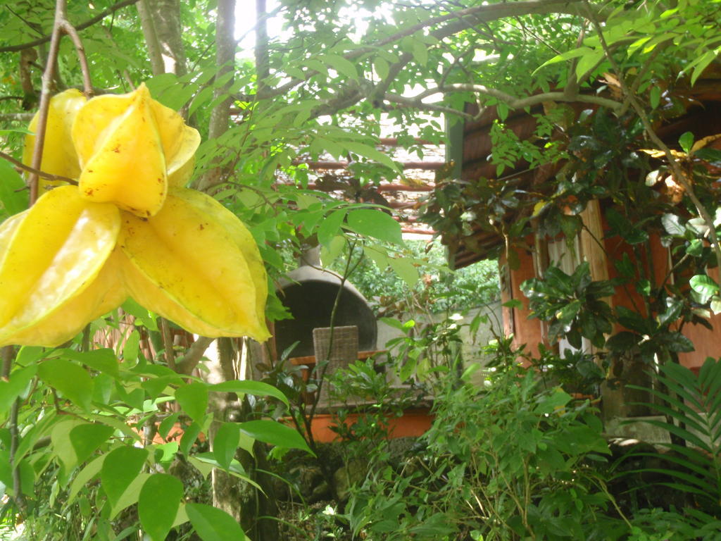 Pachamama Tropical Garden Lodge Malpaís Eksteriør billede