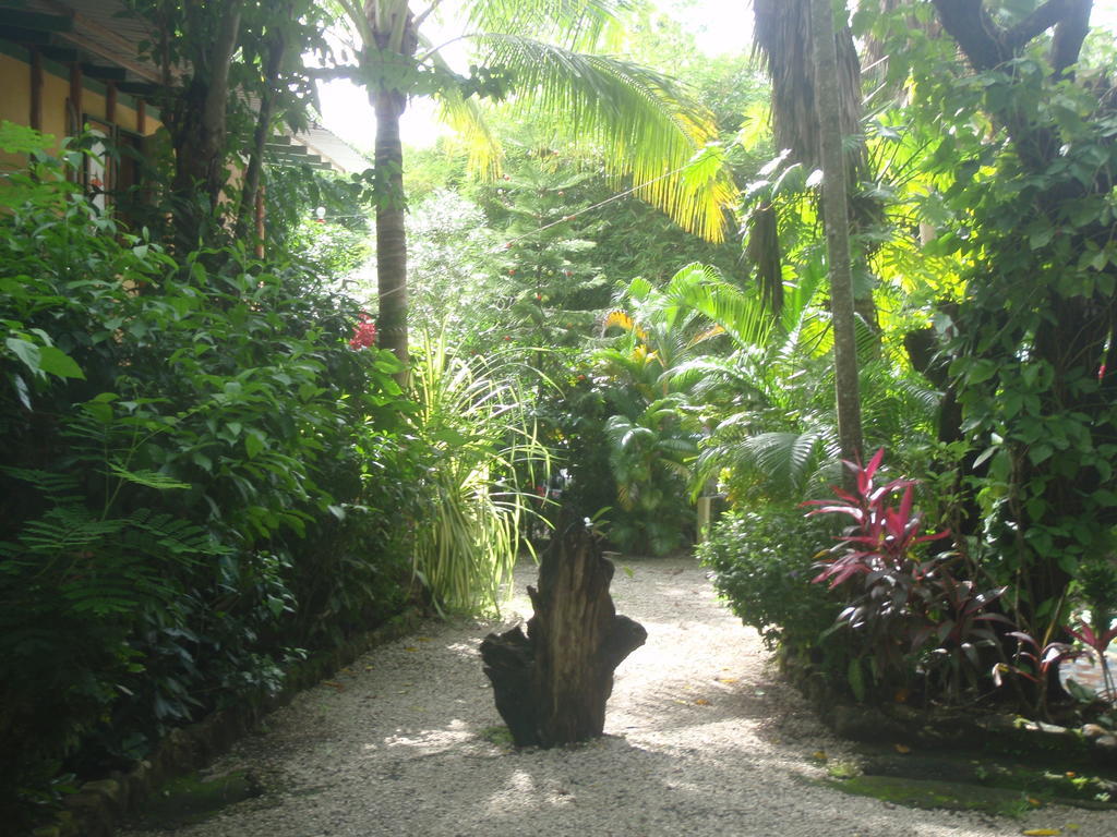 Pachamama Tropical Garden Lodge Malpaís Eksteriør billede