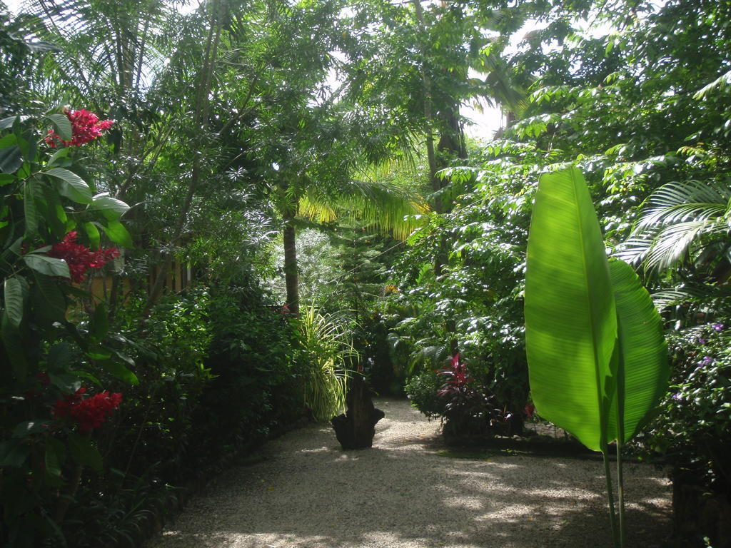 Pachamama Tropical Garden Lodge Malpaís Eksteriør billede