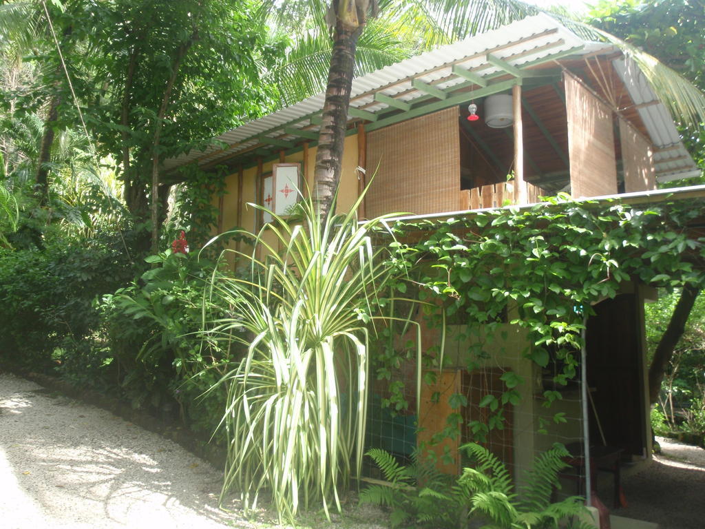 Pachamama Tropical Garden Lodge Malpaís Værelse billede