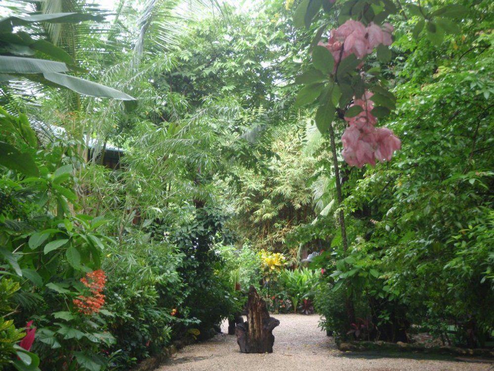 Pachamama Tropical Garden Lodge Malpaís Eksteriør billede
